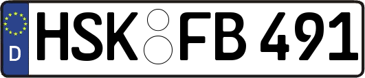 HSK-FB491