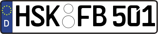 HSK-FB501