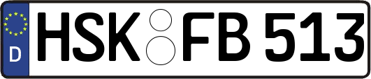 HSK-FB513