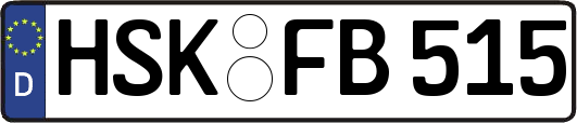 HSK-FB515