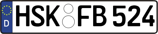 HSK-FB524