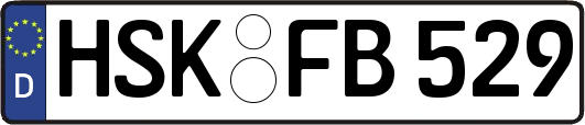 HSK-FB529