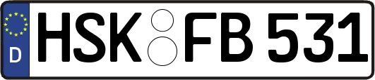 HSK-FB531
