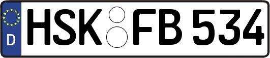 HSK-FB534