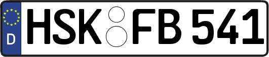 HSK-FB541