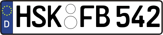 HSK-FB542