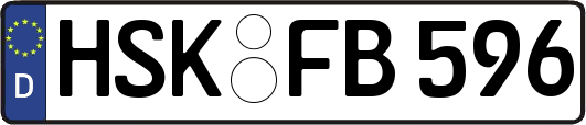 HSK-FB596