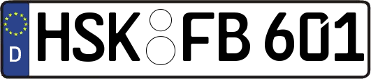 HSK-FB601