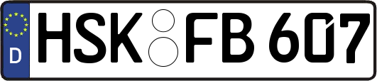 HSK-FB607