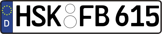HSK-FB615