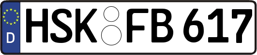 HSK-FB617