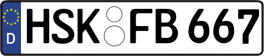 HSK-FB667