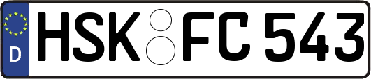 HSK-FC543