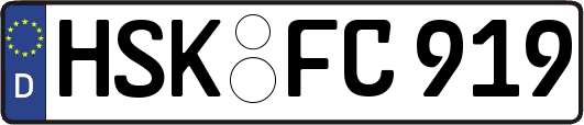 HSK-FC919