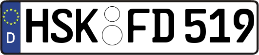 HSK-FD519