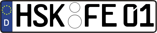 HSK-FE01