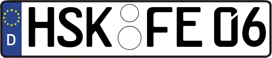HSK-FE06