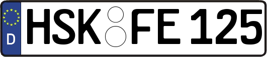 HSK-FE125