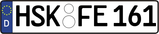 HSK-FE161