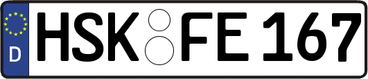 HSK-FE167