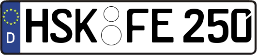 HSK-FE250