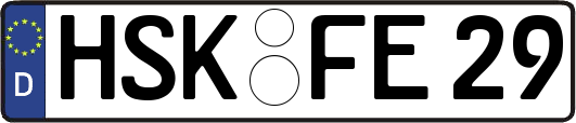 HSK-FE29