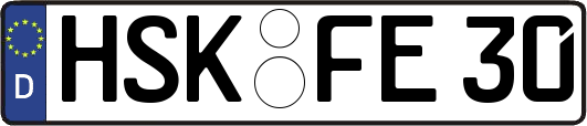 HSK-FE30