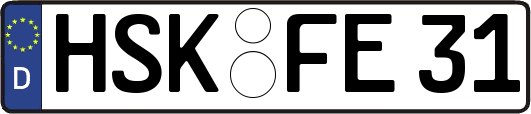 HSK-FE31