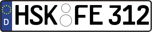 HSK-FE312