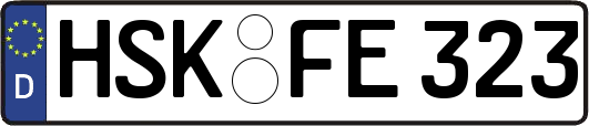 HSK-FE323