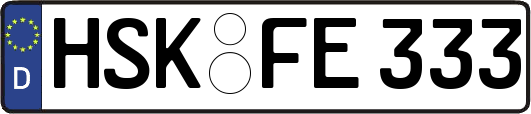 HSK-FE333