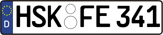 HSK-FE341