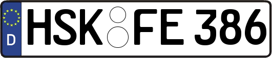 HSK-FE386