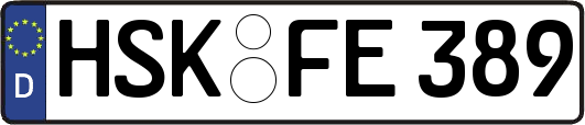 HSK-FE389