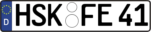 HSK-FE41