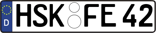 HSK-FE42