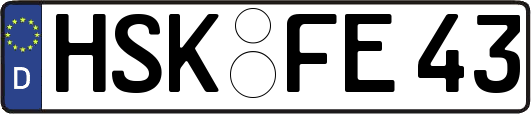 HSK-FE43