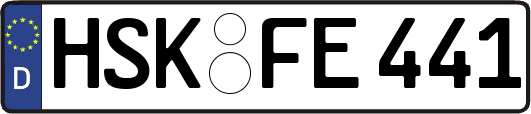 HSK-FE441