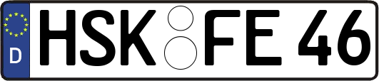 HSK-FE46