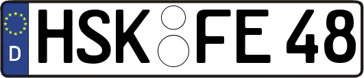 HSK-FE48