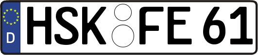 HSK-FE61