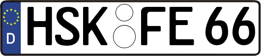 HSK-FE66