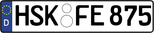 HSK-FE875