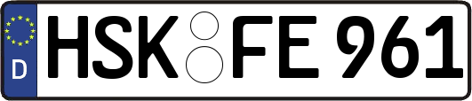 HSK-FE961