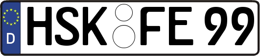 HSK-FE99