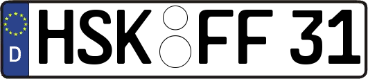 HSK-FF31