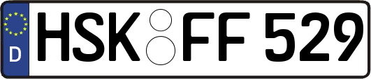 HSK-FF529