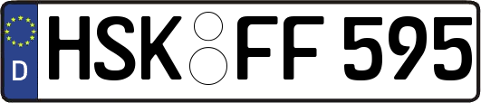 HSK-FF595