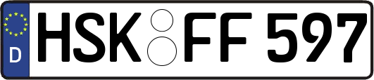 HSK-FF597