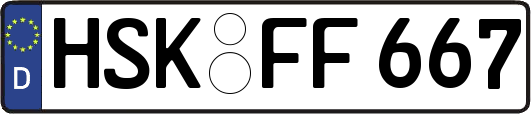 HSK-FF667